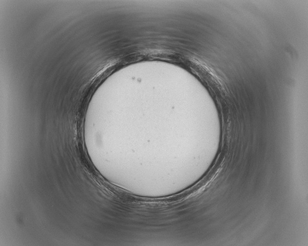 X0000115681305200912101125