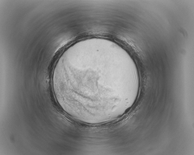 X0000115681306200912101125