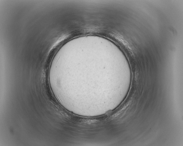 X0000115681309200912101125