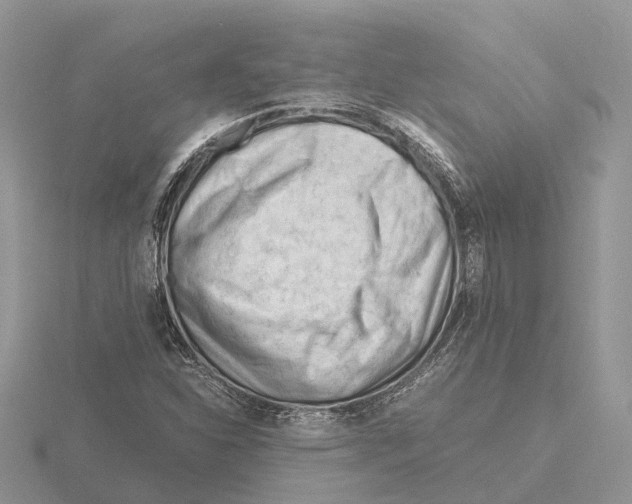 X0000115681310200912101125