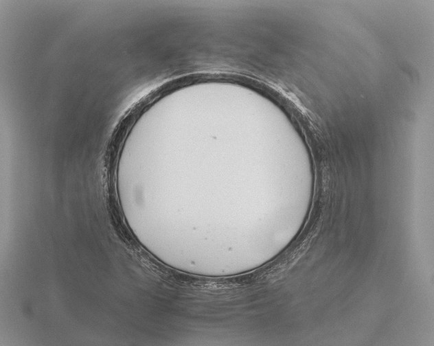 X0000115681311200912101125