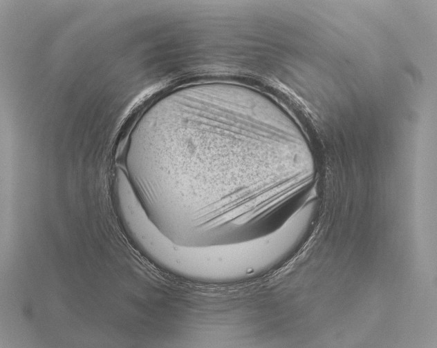 X0000115681314200912101125