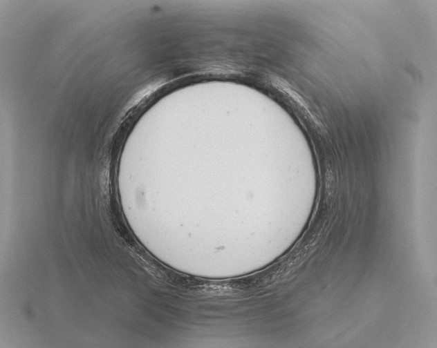 X0000115681315200912101125