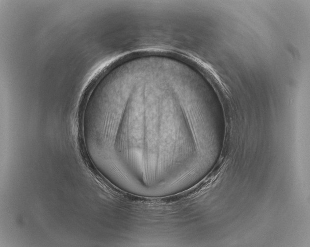 X0000115681319200912101125