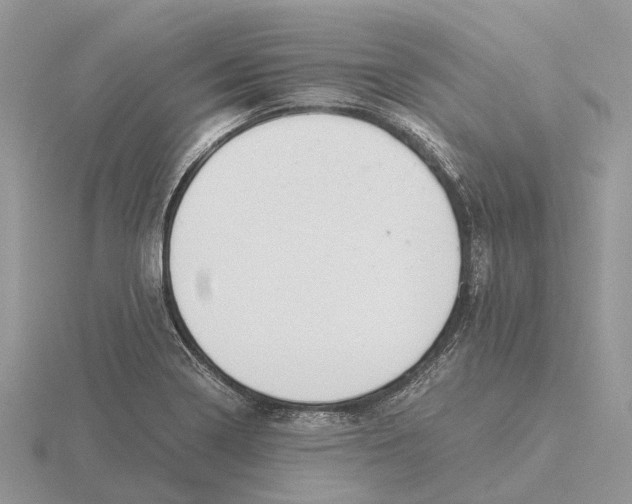 X0000115681322200912101125