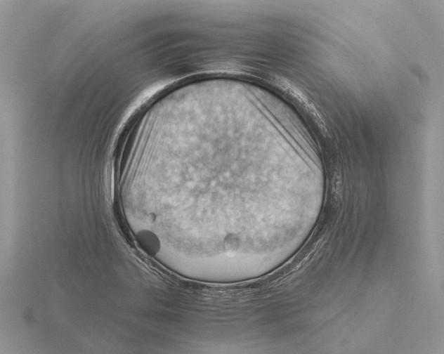 X0000115681323200912101125