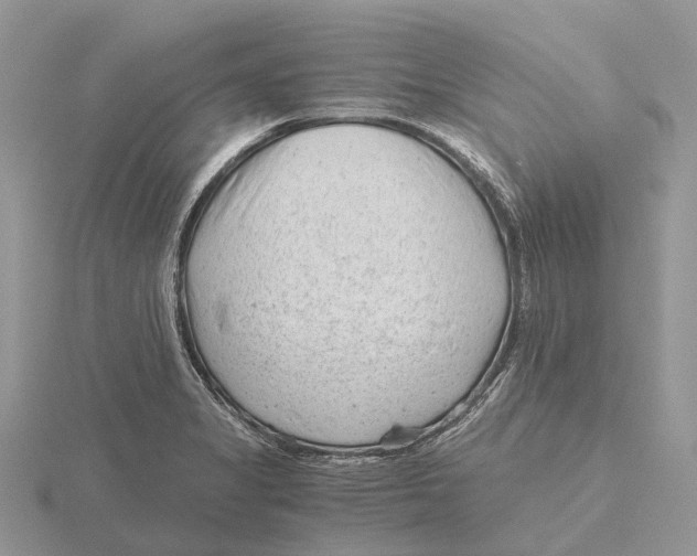 X0000115681325200912101125