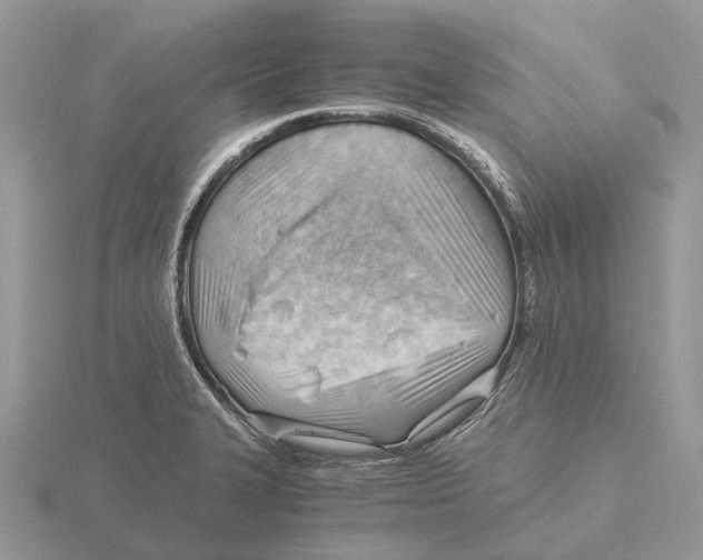 X0000115681327200912101125