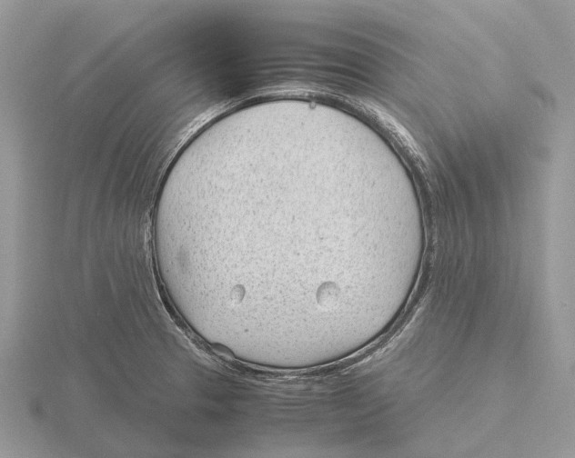 X0000115681329200912101125