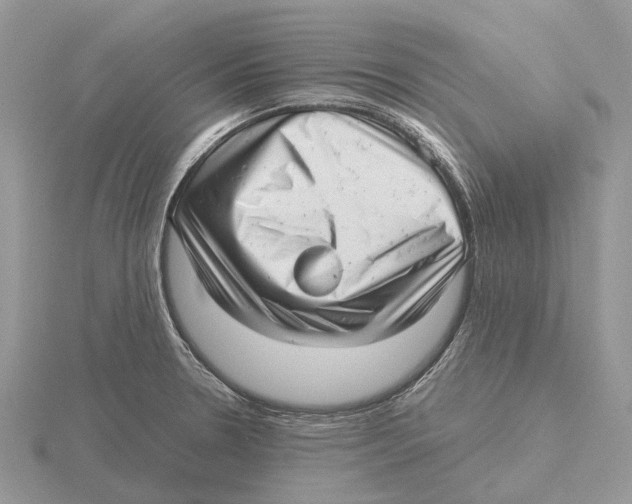 X0000115681330200912101125