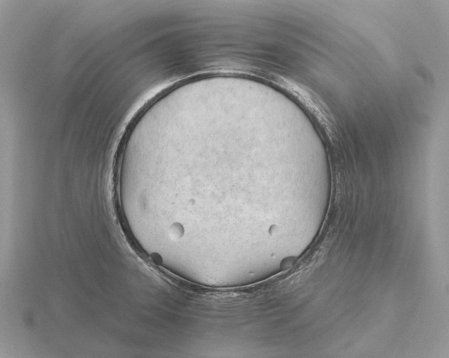 X0000115681331200912101125