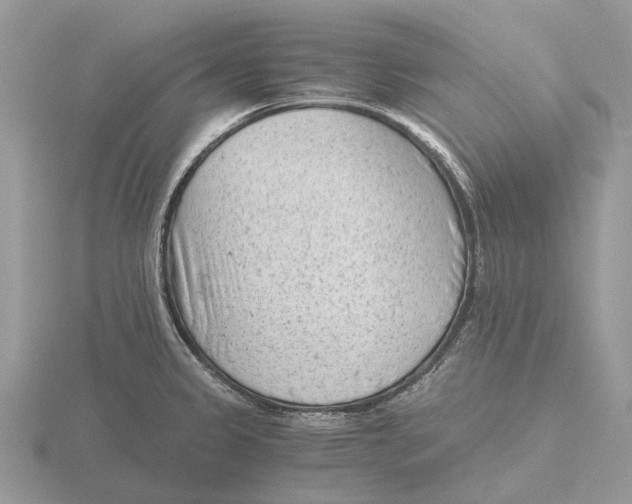 X0000115681333200912101125