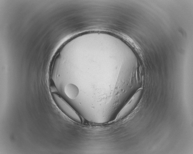 X0000115681334200912101125