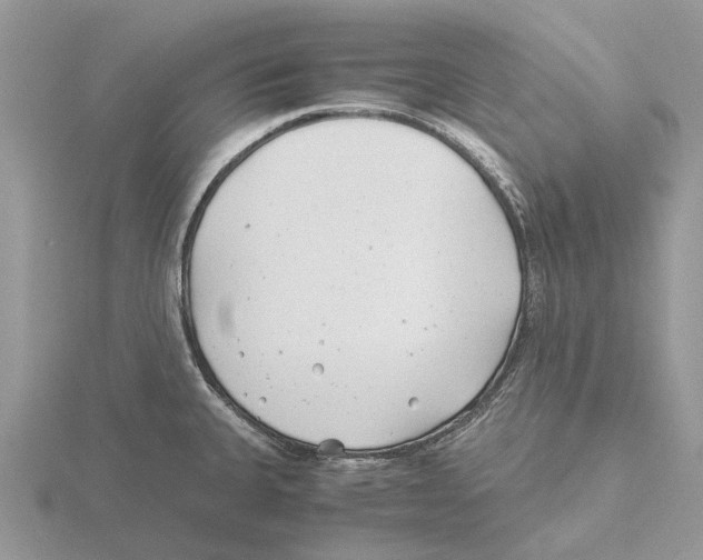 X0000115681335200912101125