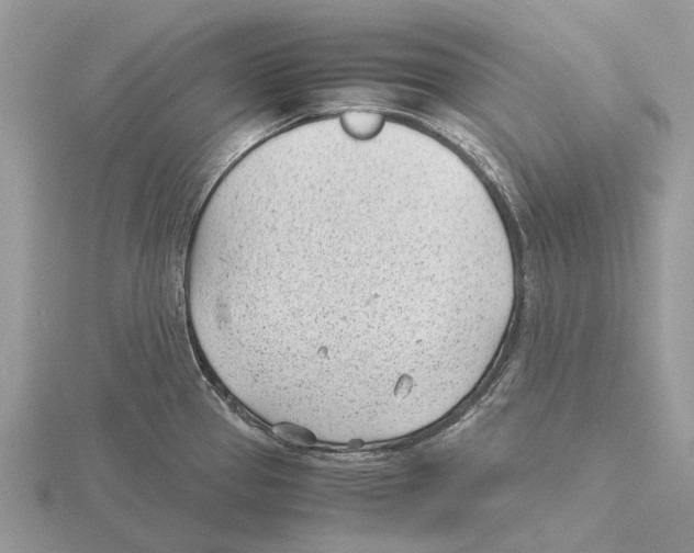 X0000115681337200912101125