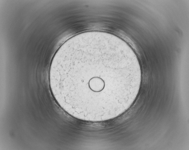 X0000115681338200912101125