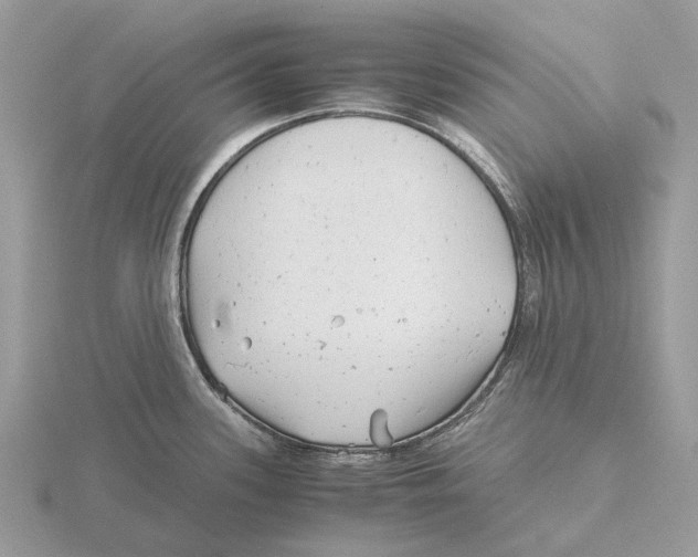 X0000115681339200912101125