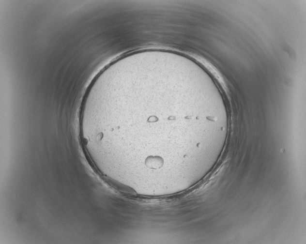 X0000115681341200912101125