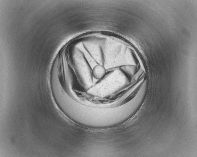 X0000115681342200912101125