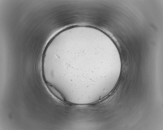 X0000115681343200912101125