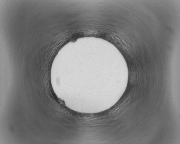 X0000115681345200912101125