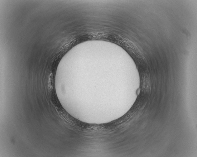 X0000115681346200912101125