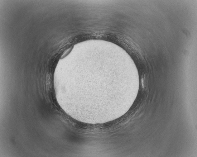 X0000115681347200912101125