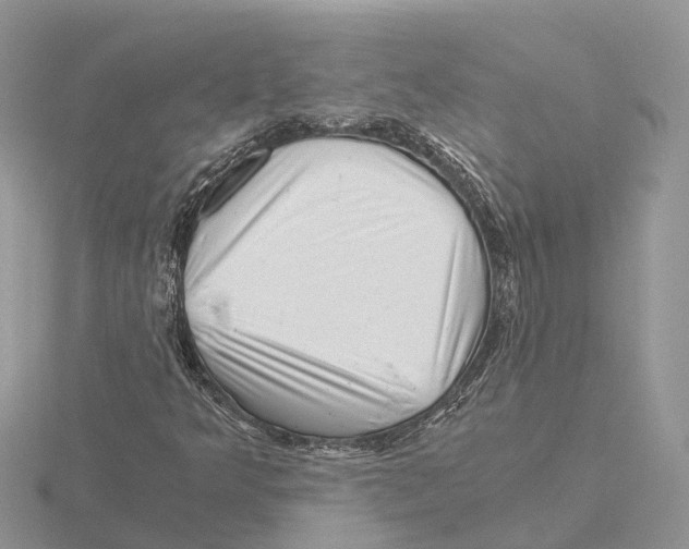 X0000115681349200912101125