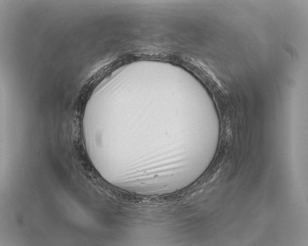 X0000115681350200912101125