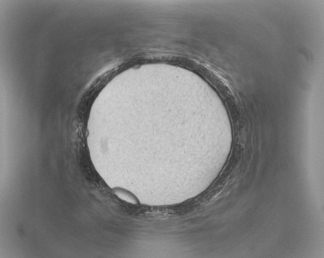 X0000115681351200912101125