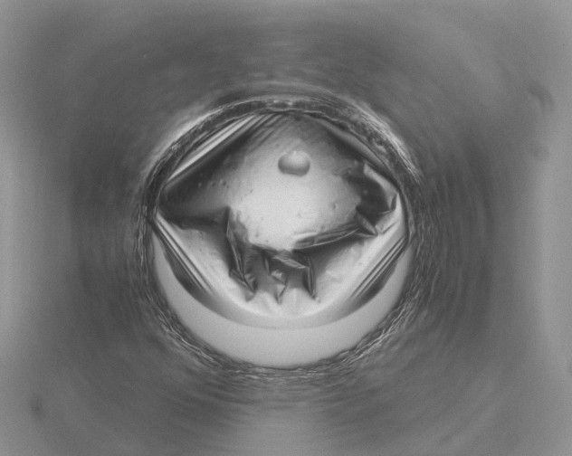 X0000115681352200912101125