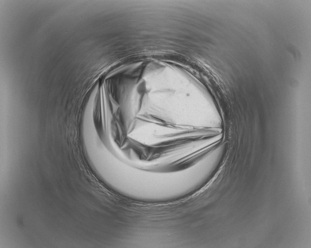 X0000115681353200912101125