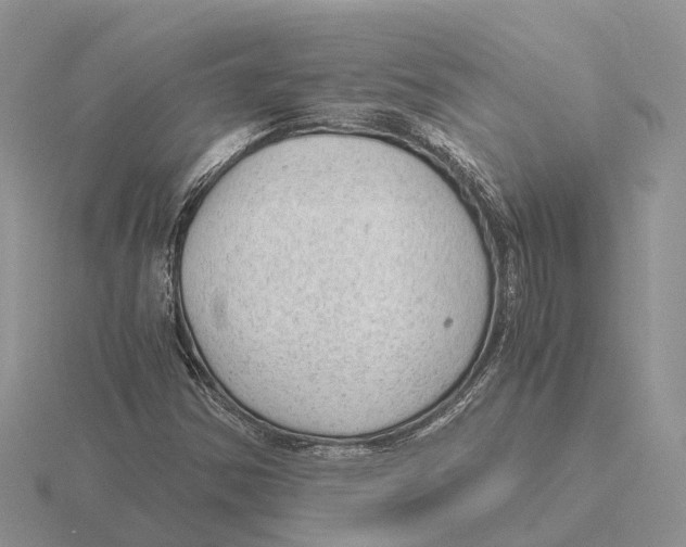 X0000115681354200912101125