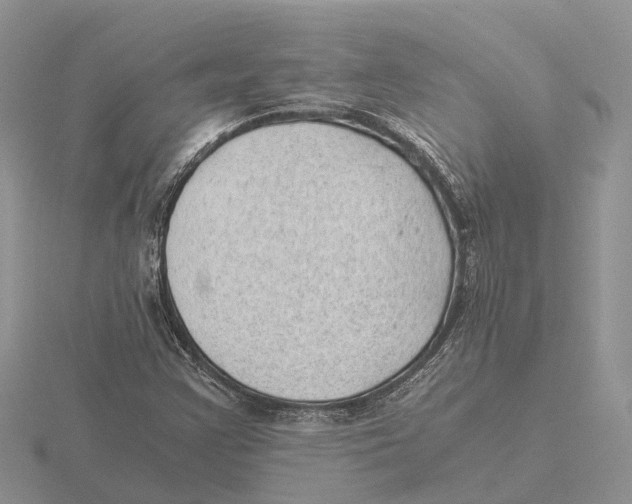 X0000115681355200912101125