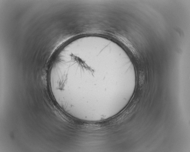 X0000115681356200912101125