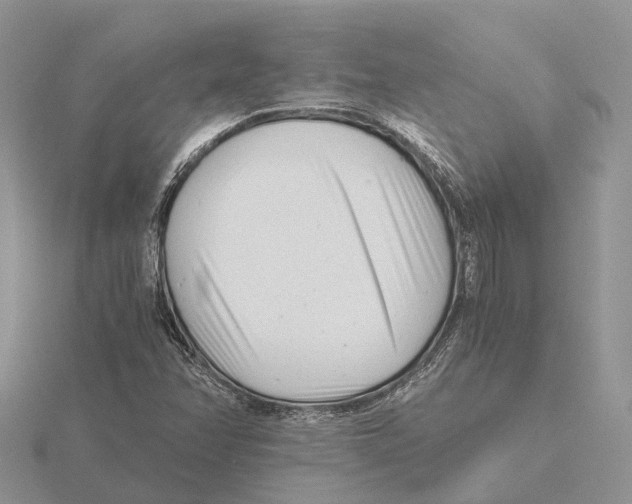 X0000115681358200912101125