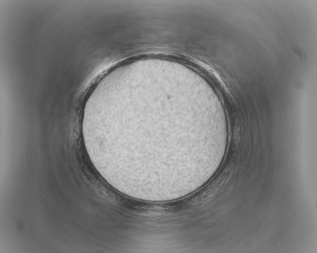 X0000115681359200912101125