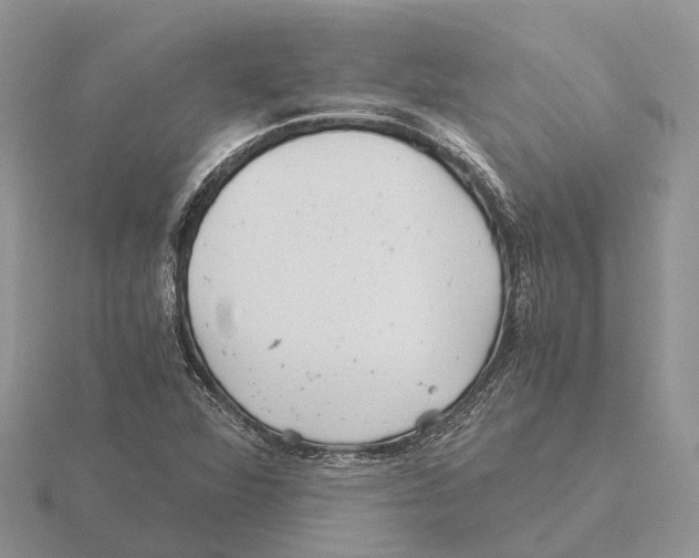 X0000115681360200912101125