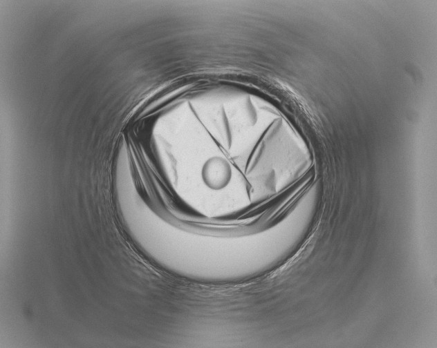 X0000115681361200912101125