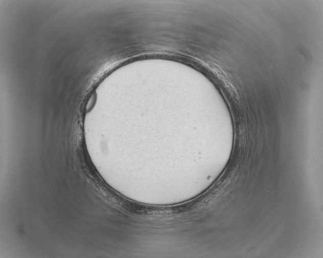 X0000115681363200912101125