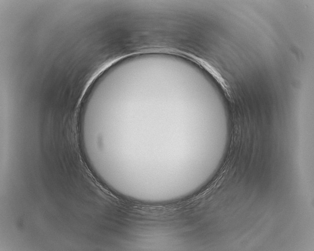 X0000115681364200912101125