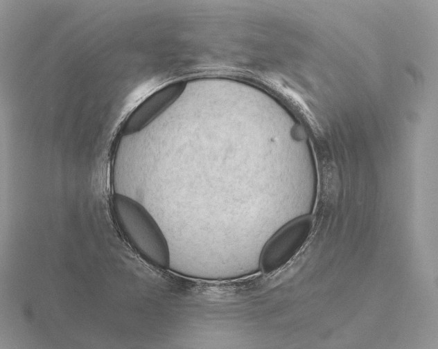 X0000115681365200912101124