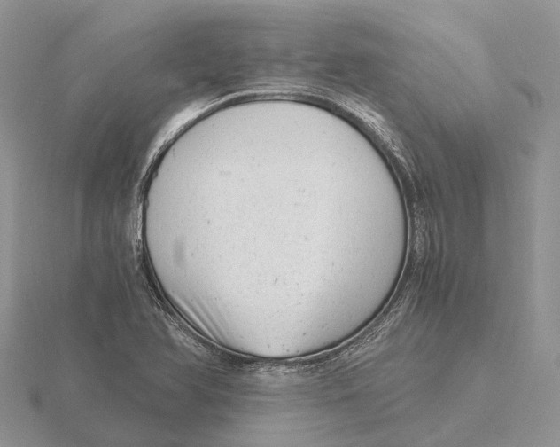 X0000115681366200912101124