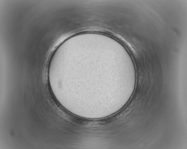 X0000115681367200912101124