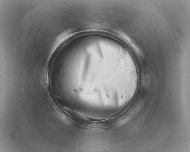 X0000115681368200912101124