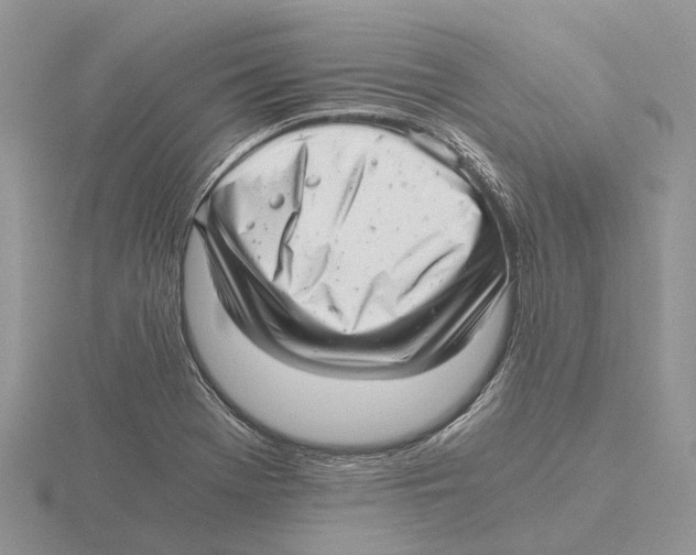 X0000115681369200912101124