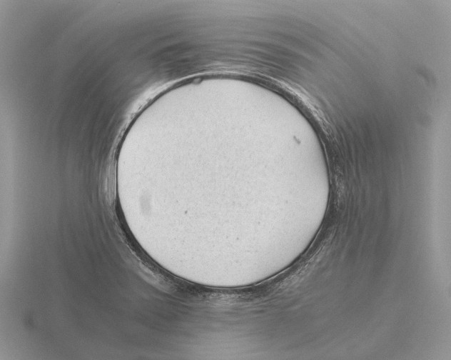 X0000115681371200912101124