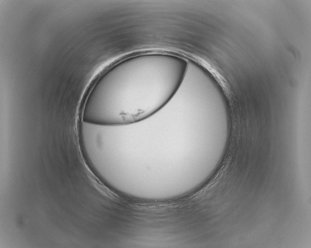 X0000115681372200912101124