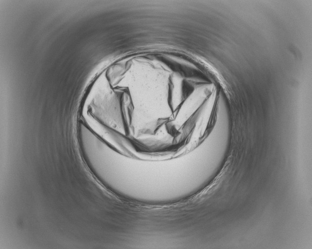 X0000115681373200912101124