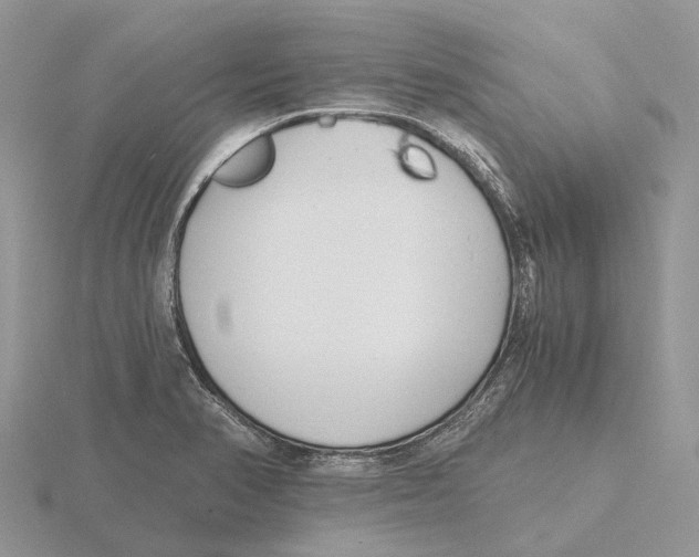 X0000115681374200912101124